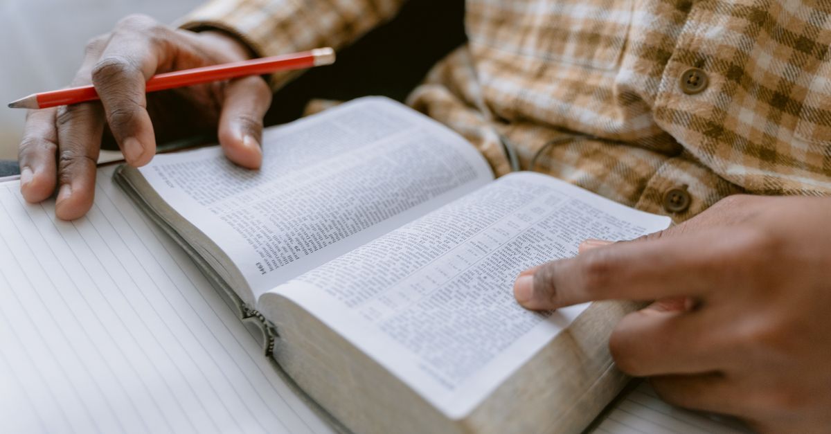 How Many Words Are in a Novel? A Genre Guide