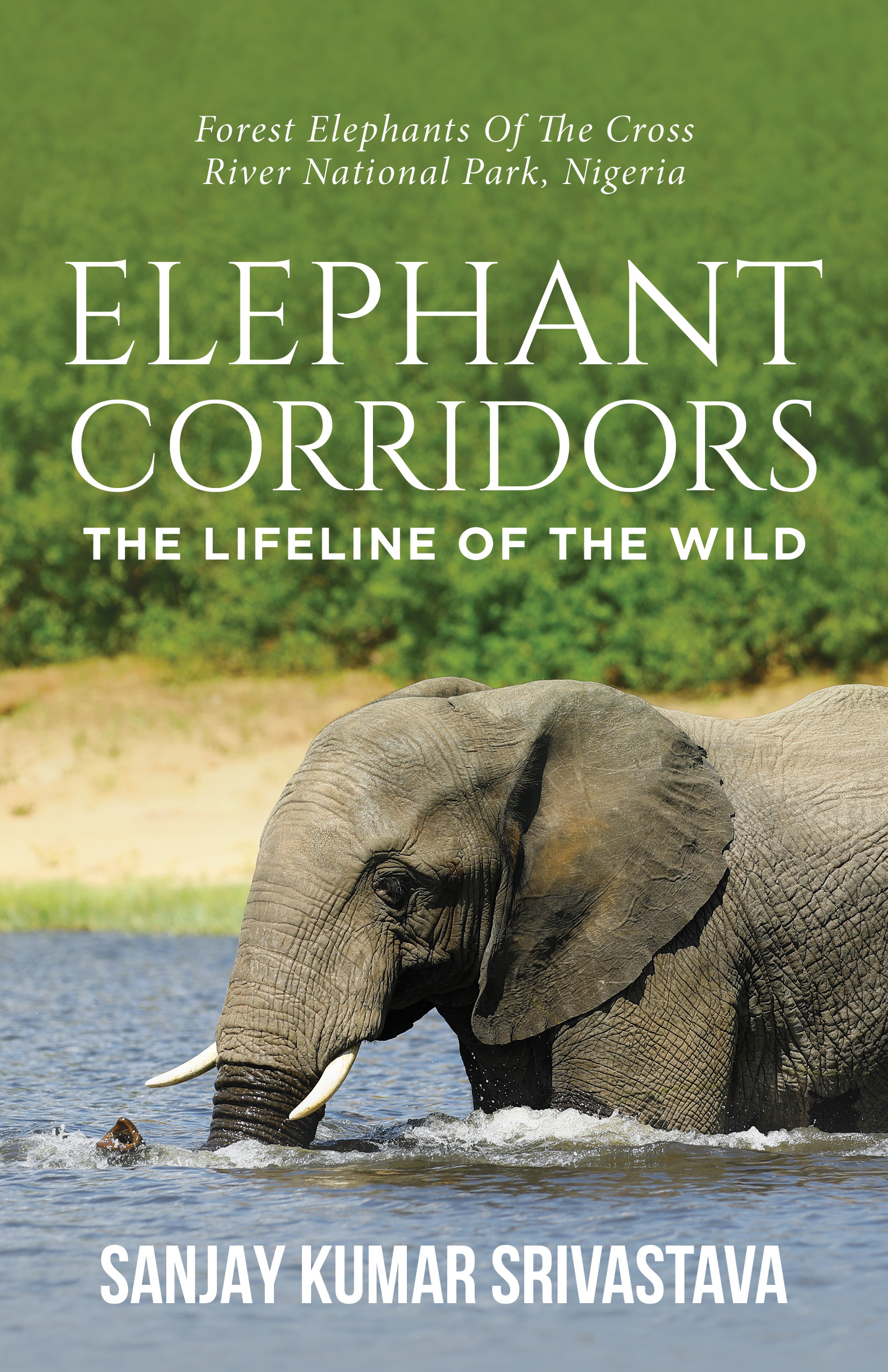 Published book 19
